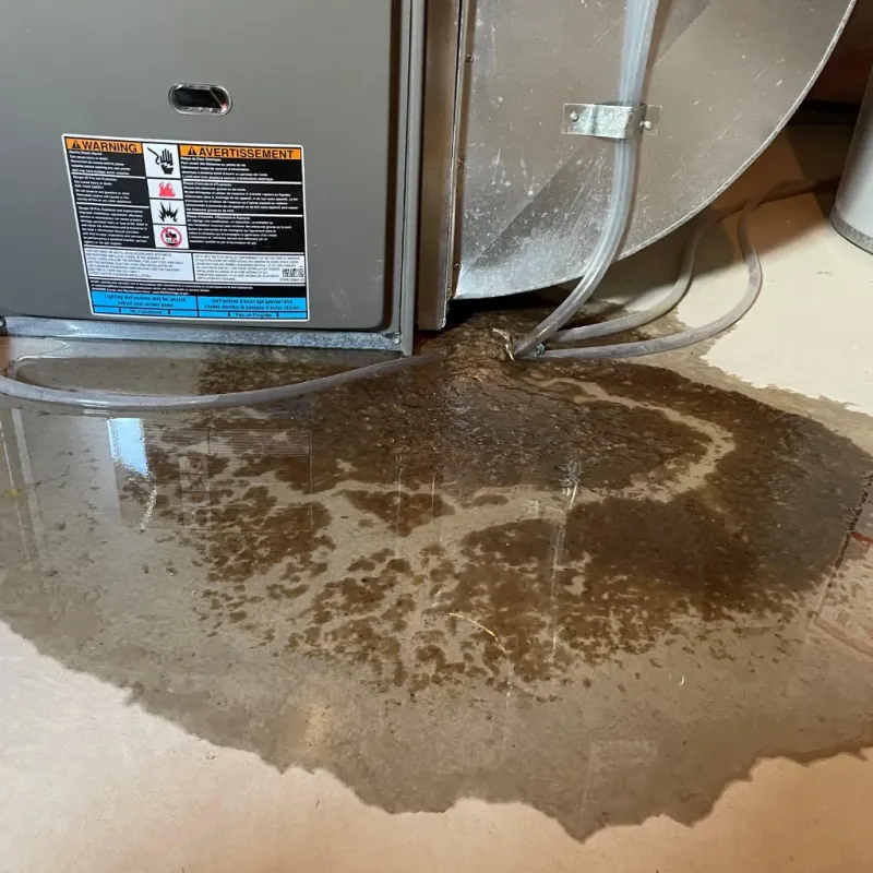 Appliance Leak Cleanup in Iredell County, NC